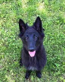 Asuka de Geracao nova